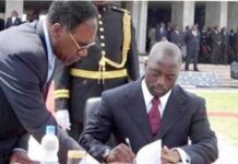 RDC : 20 ans de la Constitution de 2006, l’heure du bilan pour le socle de la République